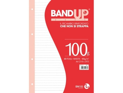 RICAMBI MAXI QUADERNI FORATI E RINFORZATI 100 GR.