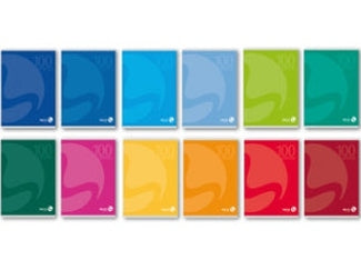 QUADERNI MAXI F.TO A4 100 GR. TINTA UNITA